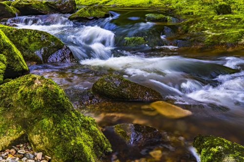 water river nature