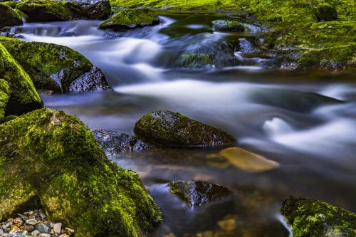 water river nature