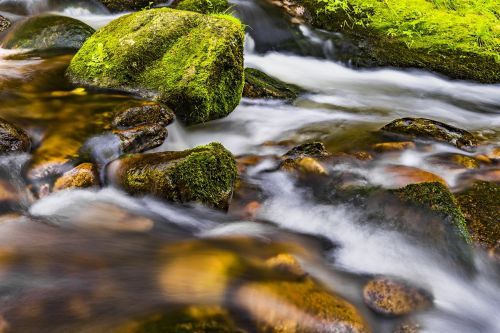 water river nature