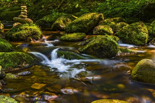 water river nature