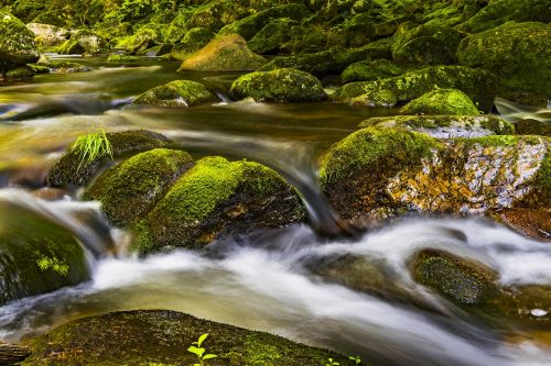 water river nature