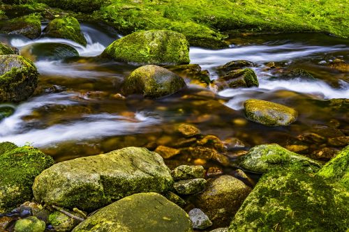 water river nature