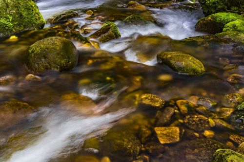 water river nature