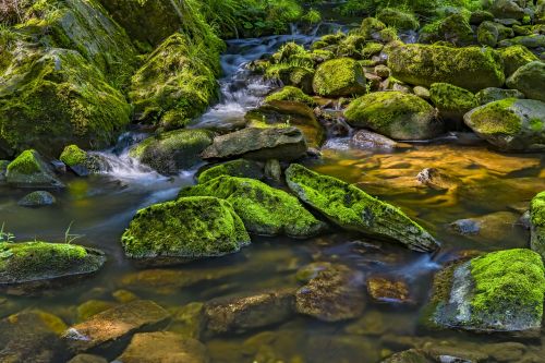 water river nature