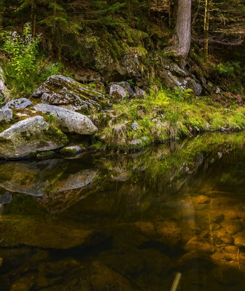 water river nature