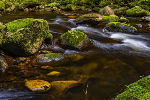 water river nature