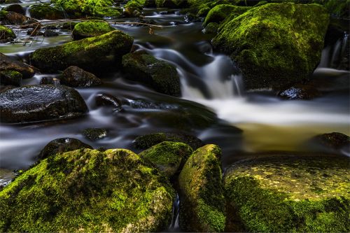 water river nature