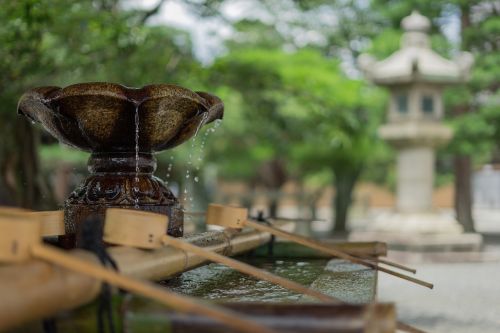 water fountain tree