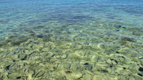 water sea adriatic