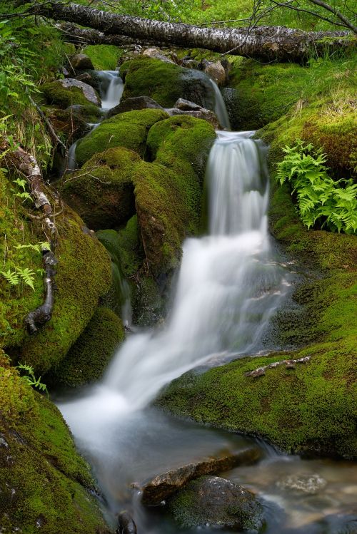 water stream waterfall