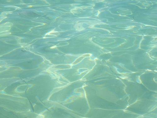 water ocean clear