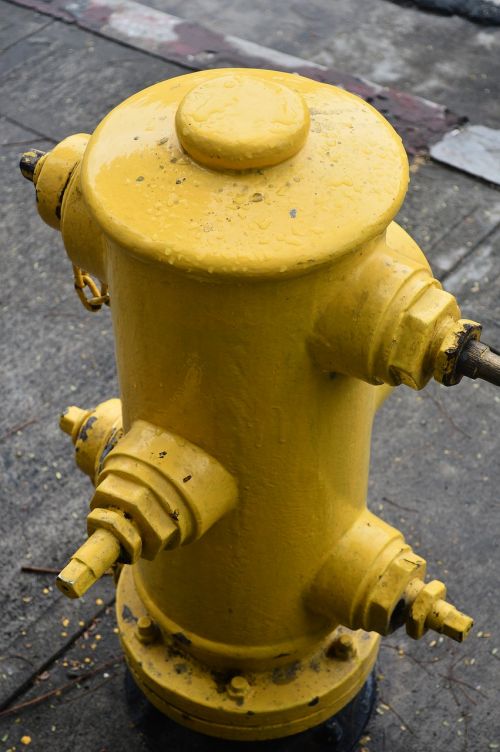 water hydrant yellow