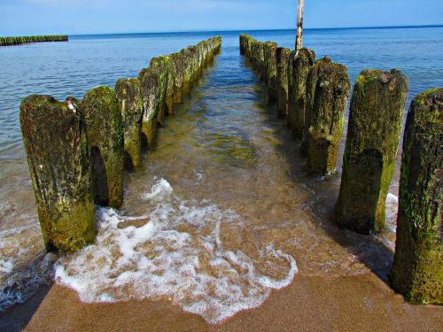 water sea nature