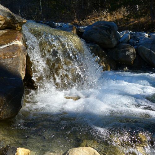 water nature river