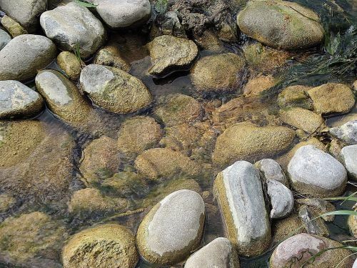water stones rest