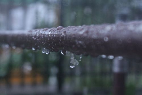 water rain close up