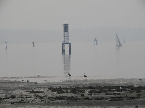 water sailboat tower
