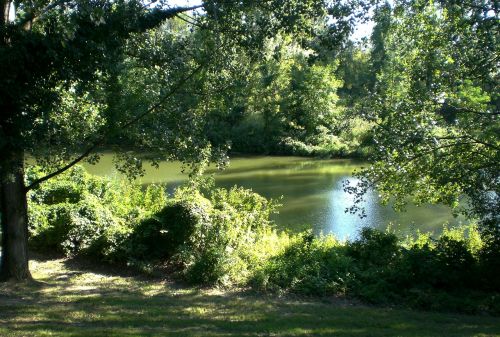 water river reflection