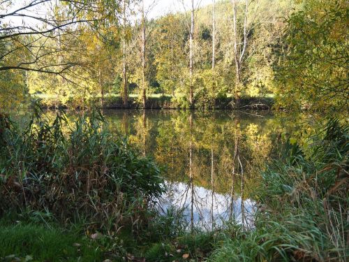 water mirroring nature