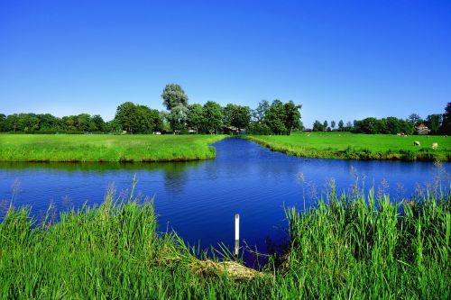 water waterway field