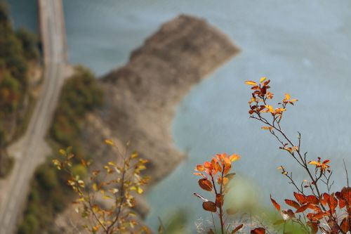 water background nature