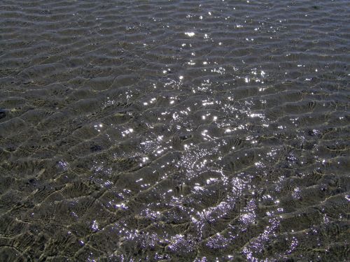 water glitzen sea