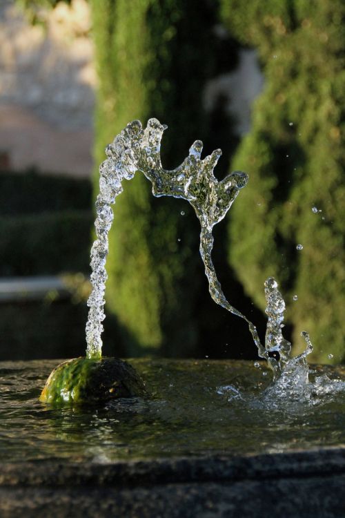 water fountain nature