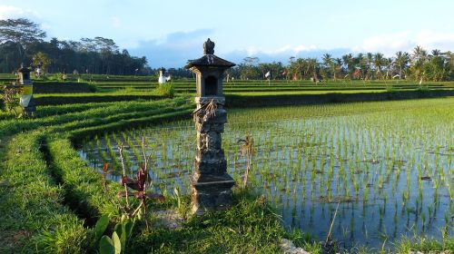 water nature agriculture