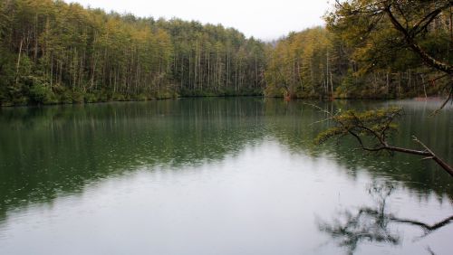 water nature reflection