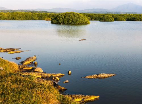 water lake nature