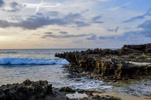 water sea seashore