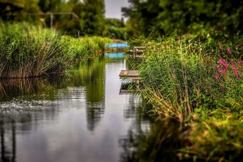 water nature reflection