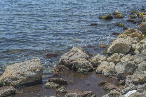 water seashore rock