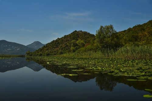 water lake panoramic