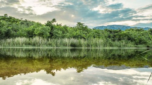 water nature landscape