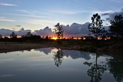 water reflection sun set