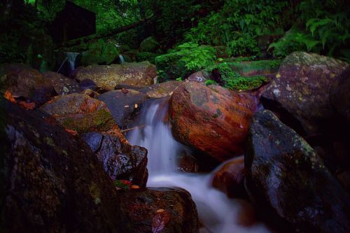 water nature outdoors