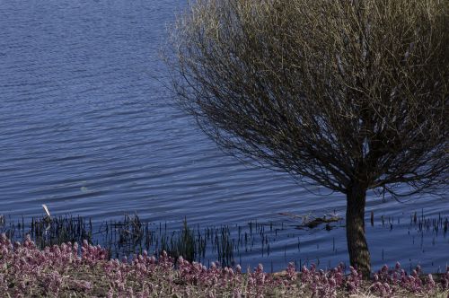 water nature outdoors