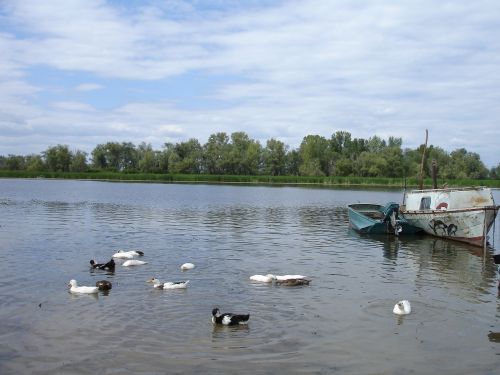 water nature lake