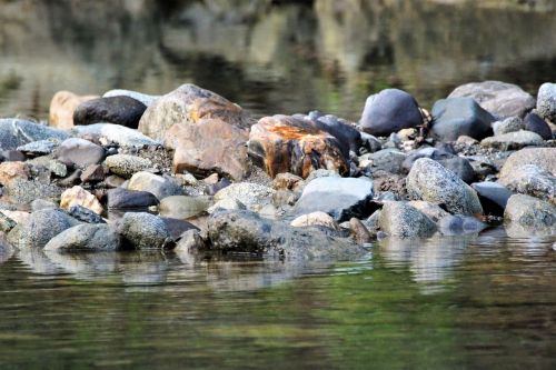 water nature river