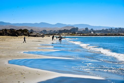 water seashore beach