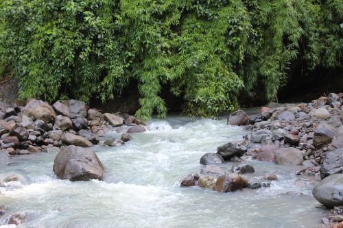 water stream nature