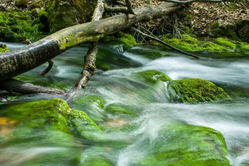 water nature river