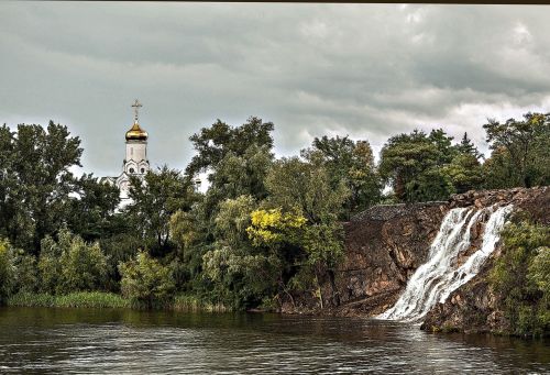 water nature tree