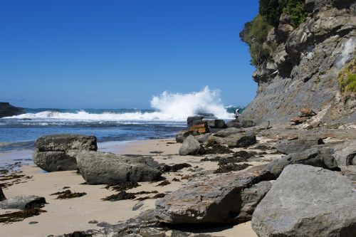 water seashore nature