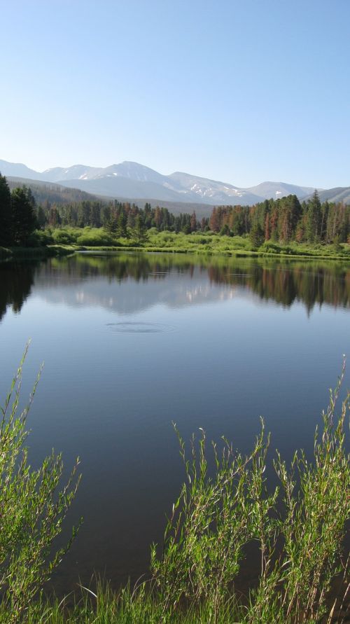 water lake nature