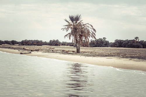 water  nature  sand