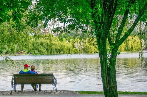 water  lake  nature