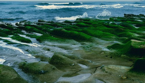 water  nature  sea