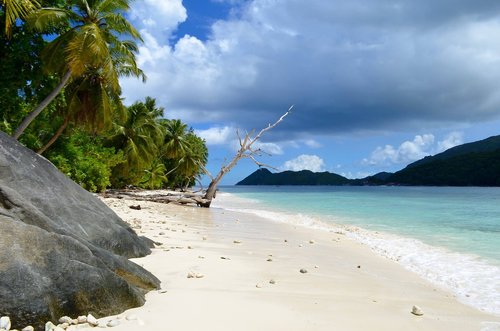 water  beach  seashore